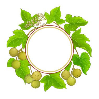 kukui vektör çerçevesi