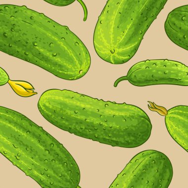 salatalık vektör deseni