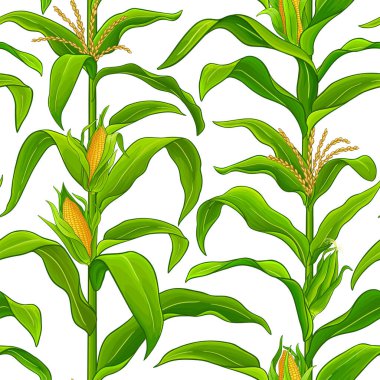 mısır vektör deseni