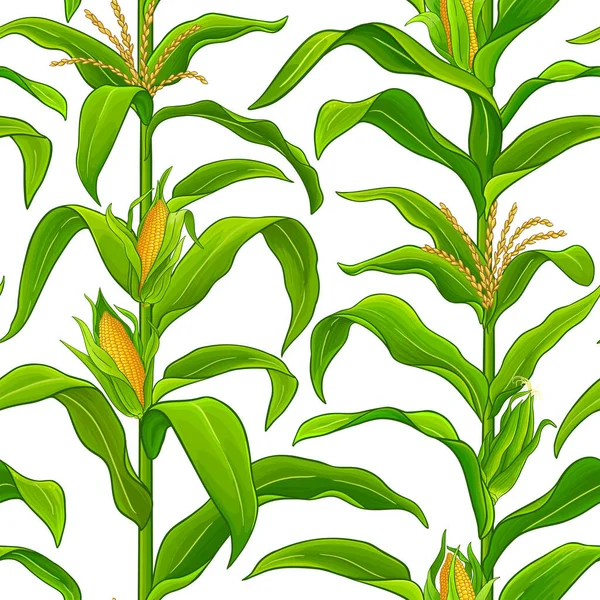 Patrón de vector de maíz — Archivo Imágenes Vectoriales