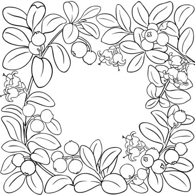 Çilekli Lingonberry Branch, Çiçekler, Böğürtlenler ve Yaprak Çerçevesi. Organik doğal besin maddeleri, vejetaryen diyet ürünleri. Tasarım veya dekorasyon için izole edilmiş vektör.