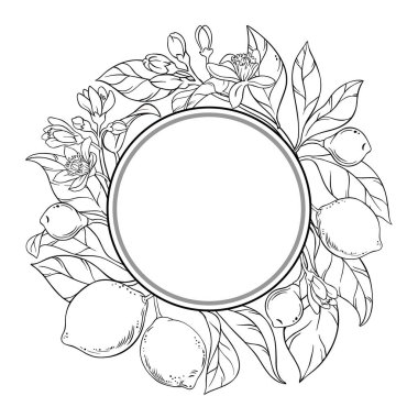 Çiçekli kireç dalı, meyveli ve yapraklı yuvarlak çerçeve. Organik doğal besin maddeleri, vejetaryen diyet ürünleri. Tasarım veya dekorasyon için izole edilmiş vektör.