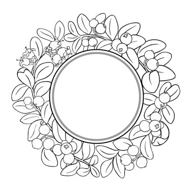 Çilekli Lingonberry Şubesi Çiçekler, Çilekler ve Yapraklar Yuvarlak Çerçeveli. Organik doğal besin maddeleri, vejetaryen diyet ürünleri. Tasarım veya dekorasyon için izole edilmiş vektör.