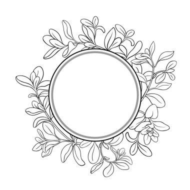 Leaves Outline Round Frame 'den Marjoram Branch. Organik doğal besin maddeleri, vejetaryen diyet ürünleri. Tasarım veya dekorasyon için izole edilmiş vektör.
