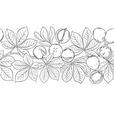 Fındıklı Mongongo şubesi ve Yapraklar Dış Hatlar Yatay Kusursuz Desen. Organik doğal besin maddeleri, vejetaryen diyet ürünleri. Tasarım veya dekorasyon için izole edilmiş vektör.