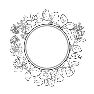 Çiçekler ve Yapraklar Yuvarlak Çerçeveli Oregano Şubesi. Organik doğal besin maddeleri, vejetaryen diyet ürünleri. Tasarım veya dekorasyon için izole edilmiş vektör.