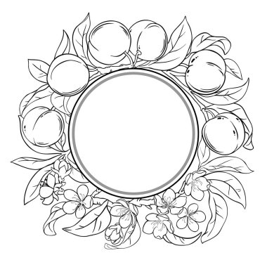 Çiçekler, Meyveler ve Yapraklar Yuvarlak Çerçeveli Şeftali Şubesi. Organik doğal besin maddeleri, vejetaryen diyet ürünleri. Tasarım veya dekorasyon için izole edilmiş vektör.