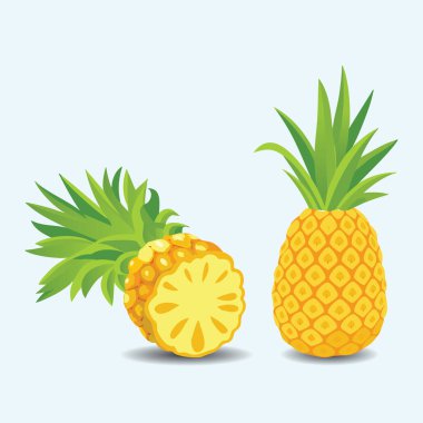 izole edilmiş Ananas Meyve İllüstrasyonu EPS Vektörü