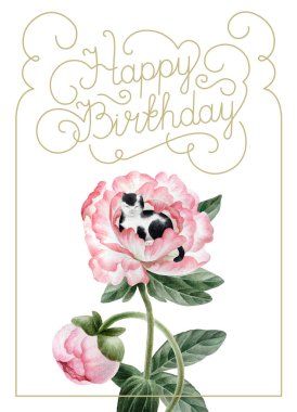 Güzel suluboya peonies, kedi ve beyaz arka plan üzerinde izole yazıt buket. Botanik suluboya peonies tasarım, kartpostallar, afiş, amblem, Resimler için.