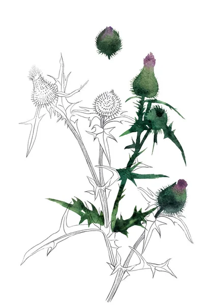 Zarif Posta Kartı Davetiye Şablonu Suluboya Kabartmalı Yabani Çayır Çiçekleri — Stok fotoğraf