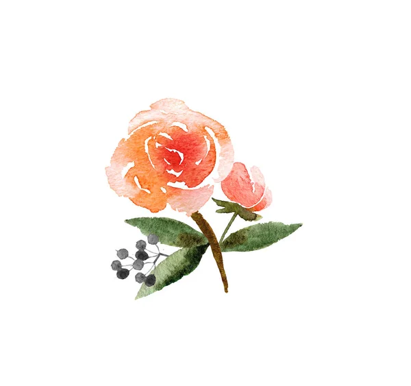 Krásná Kytice Akvarel Izolovaných Bílém Pozadí Květinový Akvarel Kytice Pro — Stock fotografie