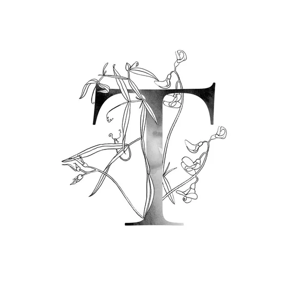 Элегантный Шаблон Монограммы Гравировкой Диких Цветов Луга Вашего Дизайна — стоковое фото