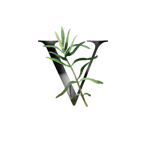 Elegant Template Monogram Watercolor Wild Meadow Flowers Your Design — Stock Photo, Image