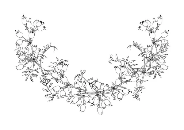 Όμορφο Χαρακτικής Λουλούδι Μοτίβο Που Απομονώνονται Λευκό Υπόβαθρο Για Σχεδιασμό — Φωτογραφία Αρχείου