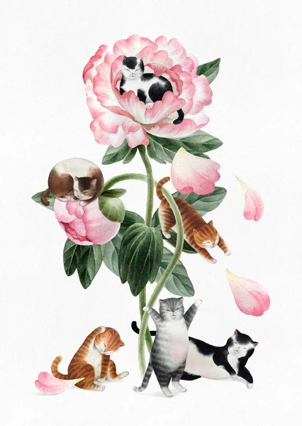 Букет Красивых Акварельных Пионов Кошек Белом Фоне Ботанические Акварельные Пионы — стоковое фото