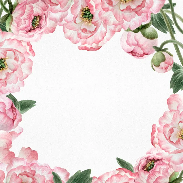 Carte Postale Avec Belles Pivoines Aquarelles Roses Isolées Sur Fond — Photo
