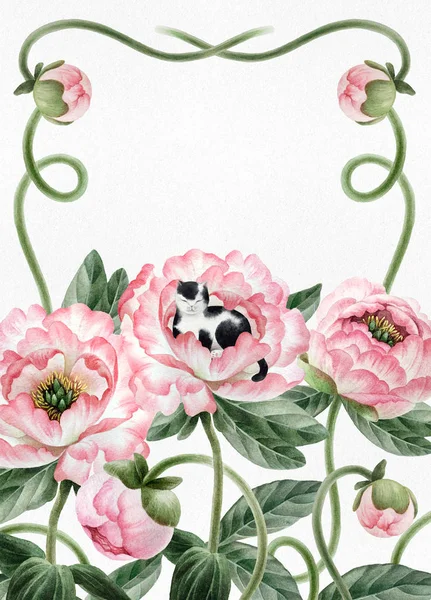 Bouquet Belle Peonie Acquerello Gatto Isolato Sfondo Bianco Peonie Acquerellate — Foto Stock