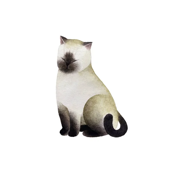 Personagem Gato Aquarela Bonito Isolado Fundo Branco Para Design Cartões — Fotografia de Stock