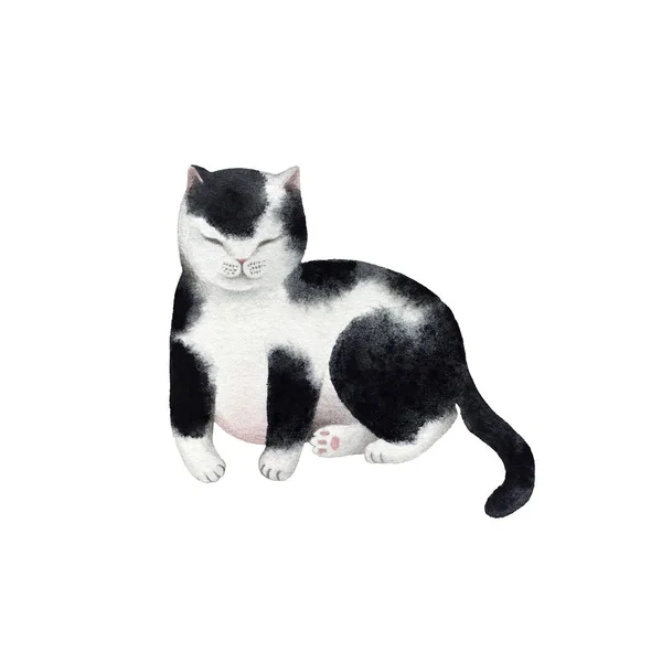 Cute watercolor cat character isolated on white background for design, postcards, banners.