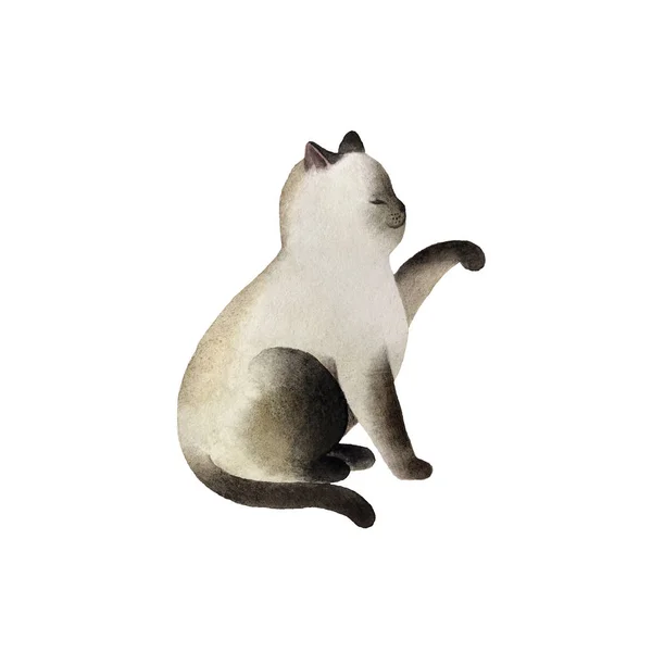 Lindo Personaje Gato Acuarela Aislado Sobre Fondo Blanco Para Diseño — Foto de Stock