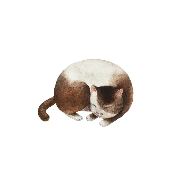 Tasarım, kartpostallar, afiş için beyaz arka plan üzerinde izole şirin suluboya kedi karakteri.