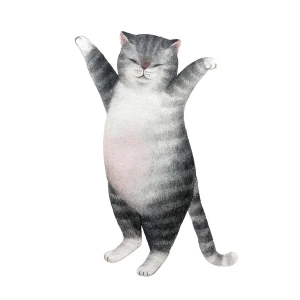 Personagem Gato Aquarela Bonito Isolado Fundo Branco Para Design Cartões — Fotografia de Stock