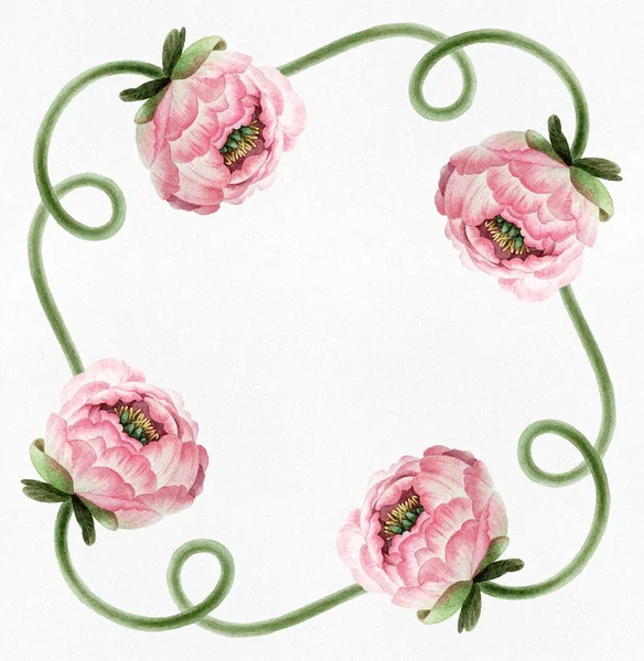Шаблон Красивым Розовым Акварелью Пионы Изолированы Белом Фоне Дизайна Открытки — стоковое фото