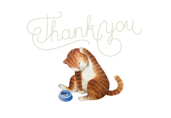 Cartolina Auguri Con Simpatico Gatto Acquerello Iscrizione Gatto Congratulazioni Isolata — Foto Stock