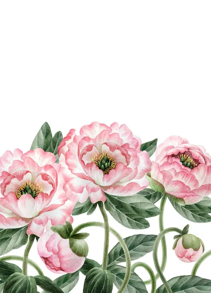 수채화 배경에 고립의 꽃다발 디자인 그림에 식물학 수채화 — 스톡 사진