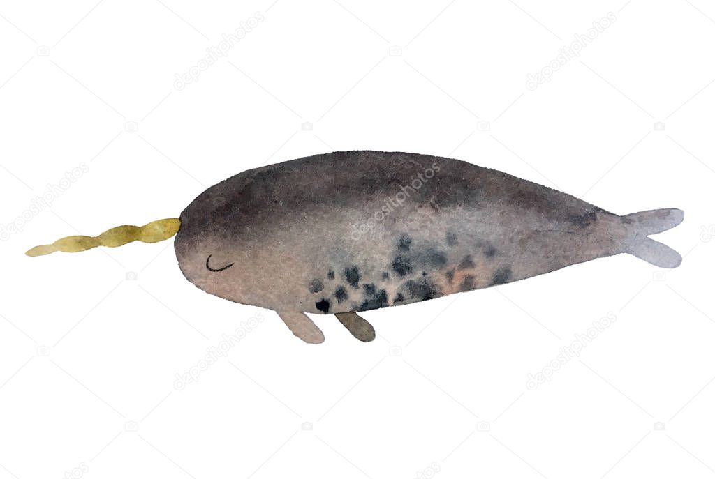 Isolated on white background cute hand drawn watercolor narwhale for your design, logo, postcard, textile and other.