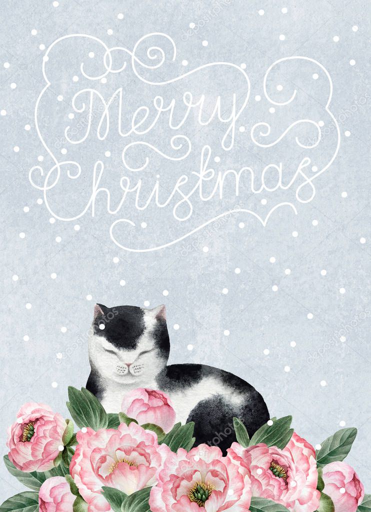 Greeting postcard with cute watercolor cat. Fat cat isolated on blue background with snowflakes for design, postcards, banners.