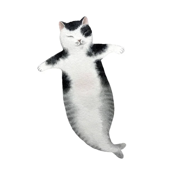 Schattig Aquarel Kat Zeemeermin Karakter Geïsoleerd Een Witte Achtergrond Voor — Stockfoto