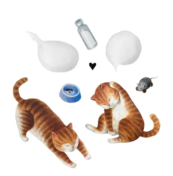 Conjunto Lindos Gatos Acuarela Burbujas Aisladas Sobre Fondo Blanco Para —  Fotos de Stock