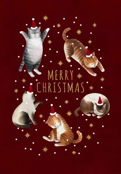 Postal Navidad Con Juego Gatos Conjunto Gatos Acuarela Estrellas Brillo — Foto de Stock