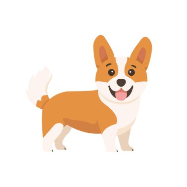 Beyaz arka planda izole edilmiş şirin Corgi köpeği. Vektör deposu