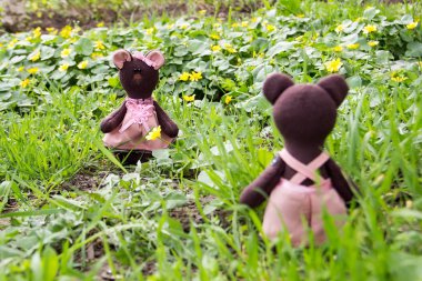 Oyuncak ayı oyuncak ayı çocuk bahçede görmüştü.