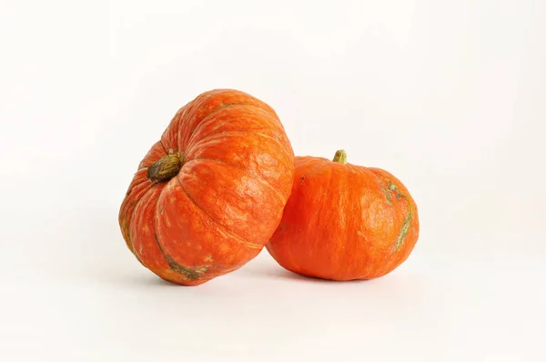 Foto Isolata Zucca Zucca Arancione Sullo Sfondo Bianco Uso Cartoline — Foto Stock