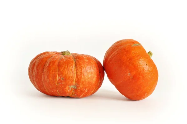 Kabak izole fotoğraf. Beyaz arka planda Turuncu kabak. Kullanım kartpostallar, duvar kağıtları, tekstil, scrapbooking, dekorasyon, davetiyeler, arka plan, tatil için.