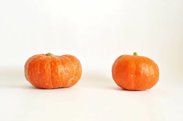 Kabak izole fotoğraf. Beyaz arka planda Turuncu kabak. Kullanım kartpostallar, duvar kağıtları, tekstil, scrapbooking, dekorasyon, davetiyeler, arka plan, tatil için.