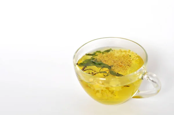 Фото Травяного Чая Прозрачной Чашке Цветы Листья Трав Цветы Липы — стоковое фото