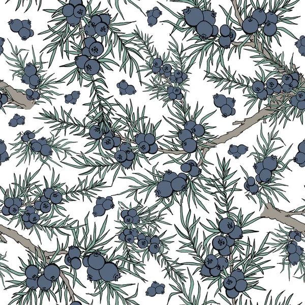 ardıç. çilek ve dalları. desen bitkiler ile. Evergreen. ardıç desenle. Kullanım arka plan, duvar kağıdı, kartları, davetiyeleri, kumaş için.