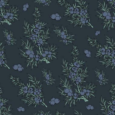 ardıç. çilek ve dalları. desen bitkiler ile. Evergreen. ardıç desenle. Kullanım arka plan, duvar kağıdı, kartları, davetiyeleri, kumaş için.