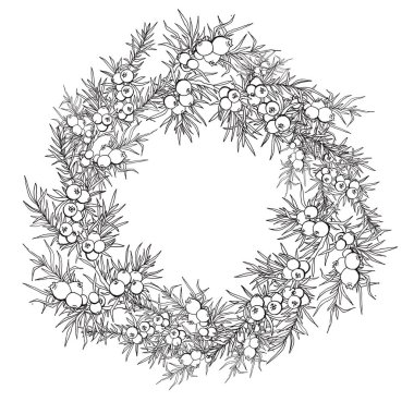 ardıç. çilek ve dalları. çelenk bitkiler ile. Evergreen. çelenk ile ardıç. Kullanım arka plan, duvar kağıdı, kartları, davetiyeleri, kumaş için.
