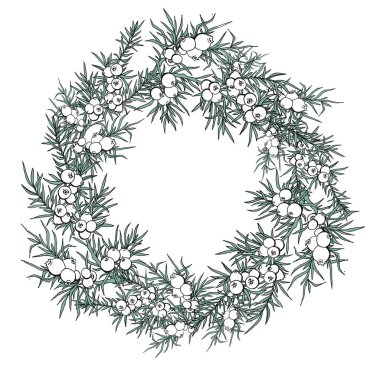 ardıç. çilek ve dalları. çelenk bitkiler ile. Evergreen. çelenk ile ardıç. Kullanım arka plan, duvar kağıdı, kartları, davetiyeleri, kumaş için.