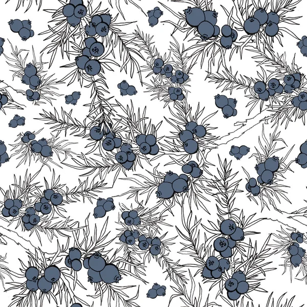 ardıç. çilek ve dalları. desen bitkiler ile. Evergreen. ardıç desenle. Kullanım arka plan, duvar kağıdı, kartları, davetiyeleri, kumaş için.