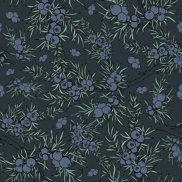 juniper. berries and branches. pattern with plants. evergreen. pattern with juniper. Use for background, wallpaper, cards, invitations, fabric.