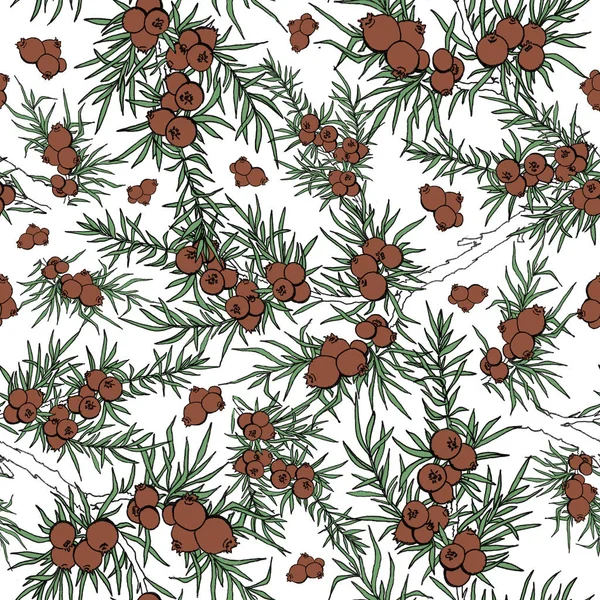 ardıç. çilek ve dalları. desen bitkiler ile. Evergreen. ardıç desenle. Kullanım arka plan, duvar kağıdı, kartları, davetiyeleri, kumaş için.