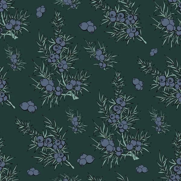 ardıç. çilek ve dalları. desen bitkiler ile. Evergreen. ardıç desenle. Kullanım arka plan, duvar kağıdı, kartları, davetiyeleri, kumaş için.