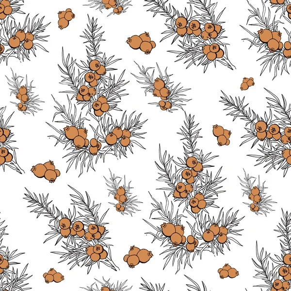 Wacholder Beeren Und Zweige Muster Mit Pflanzen Immergrün Muster Mit — Stockfoto