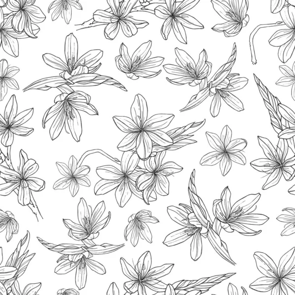 Nahtloses Muster Mit Handgezeichneten Illustrationen Von Schizostylis Botanische Graphische Zeichnung — Stockfoto